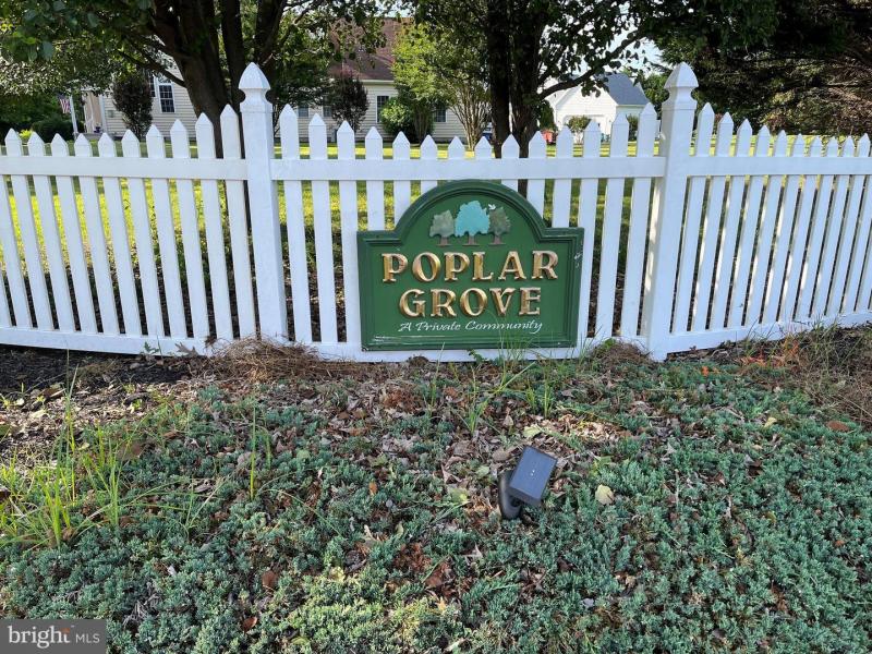 POPLAR GROVE